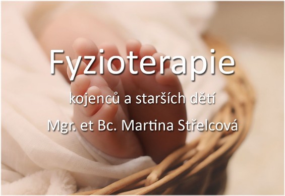 Mgr. et Bc. Martina Střelcová